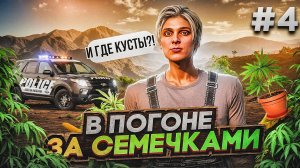 ПУТЬ БОМЖА #4 НА MAJESTIC RP | В ПОГОНЕ ЗА СЕМЕНАМИ GREEN В GTA 5 RP