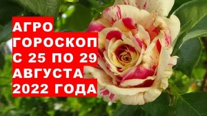 Агрогороскоп с 25 по 29 августа 2022 года