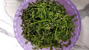 Заготовка папоротника Орляка. Отличительные особенности.Рецепт приготовления.