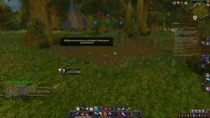 Как попасть на Ярмарку Новолуния в WOW за Альянс и Орду | Darkmoon Faire