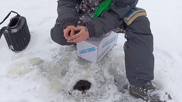 Секреты ПРОФИ! Как поймать много плотвы? ЭТО ЛЕГКО! Удиви всех своим УЛОВОМ. смотреть онлайн