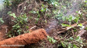 Survival alone.make a stove. foraging alone. Green forest life . nvn's survival instinct : part 10