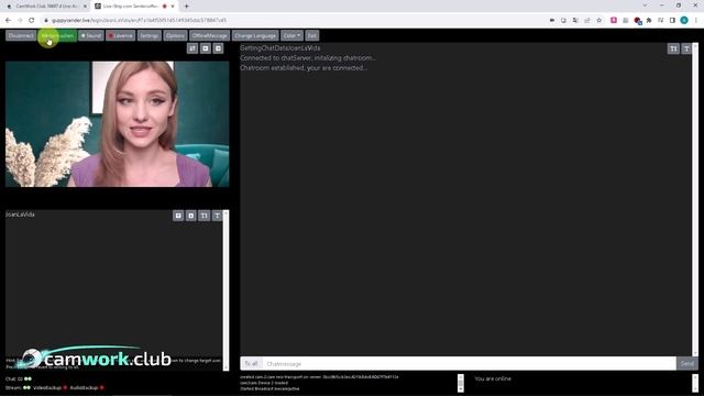 Процесс работы вебкам модели на оффлайн сайте ЛивСтрип ? Всё про вебкам