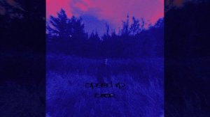 ПИКЧИ-ТЕМ ТЕПЛОМ (speed up)