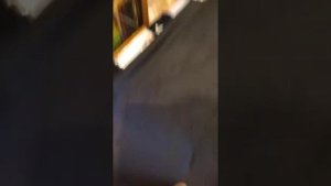 раскладушка в палатку для зимней рыбалки