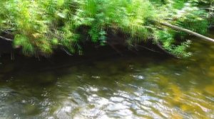 Необыкновенное Путешествие в горную Шорию или в поисках хариуса