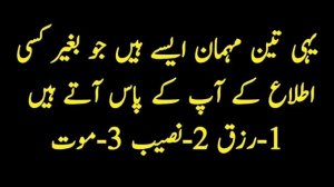 aurat ke chhati par baal | Love Quotes | QP Urdu