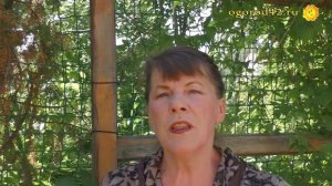 Избавьтесь от кротов безопасно, раз и навсегда! Оценим вместе отпугиватель кротов Rexant