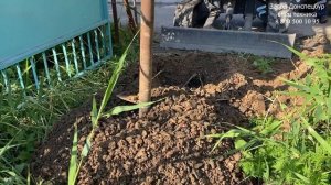 Испытание гидровращателя шнеком на 350мм для мини экскаватора Land Digger 3000