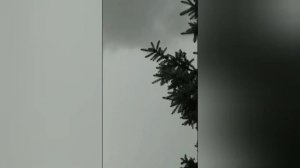 ТОП 5 СИРЕНОГОЛОВЫЙ СНЯТЫЙ НА КАМЕРУ! SIREN HEAD! SCP Монстры! Сиреноголовый В Реальной Жизни!