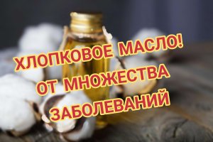 Зачем нужно употреблять хлопковое масло каждый день?