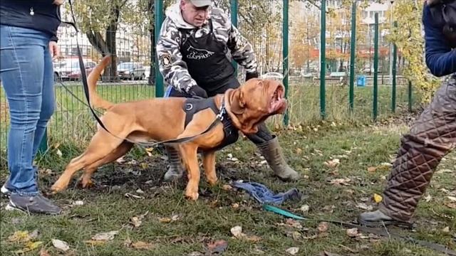 зкс❤