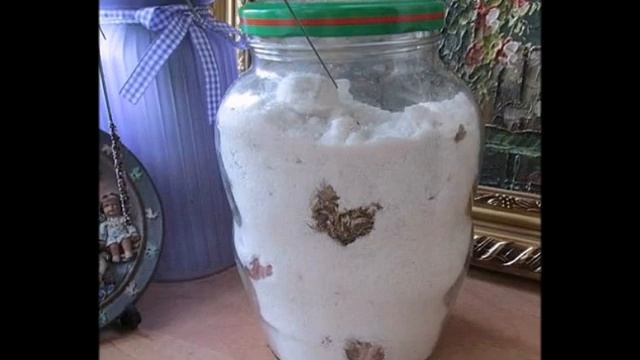 Этот способ поможет сохранить ваш чеснок зимой!!!!!!!!! смотреть онлайн