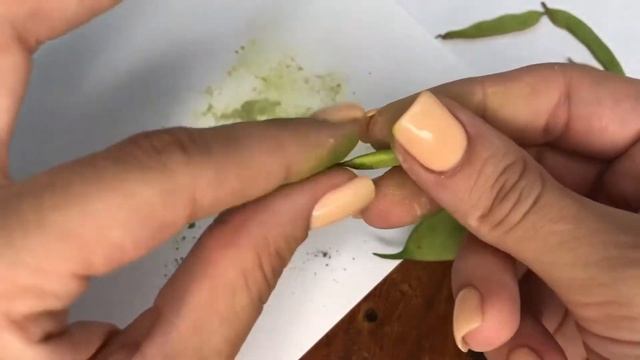 Фасоль из полимерной глины смотреть онлайн
