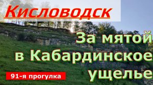 Кисловодск. За мятой в Кабардинское ущелье