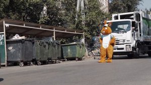 Как и какой мусор выносить на контейнерную площадку?⠀