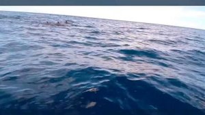 HILTON MAURITIUS RESORT & SPA HOTEL 5* MAURITIUS