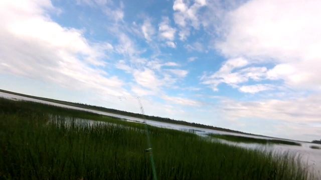 РАЗВЕДКА НОВЫХ МЕСТ НА РЕКЕ ПЕЧОРА / РЫБАЛКА ЛЕТОМ