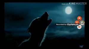 Гарри Поттер приколы (1)