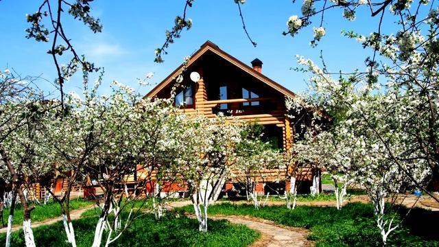 Ведьма расскажи про порчу! Как видят маги и колдуны порчу сглазы и проклятия!