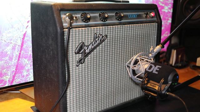 1973 Fender Champ 5W - all original, clean with delay смотреть онлайн