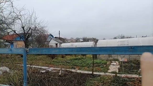 ошибки которые я совершил при выращивании винограда - мой опыт. смотреть онлайн