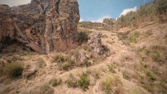 Wowww Cinematic ProTek25 CineWhoop Analog смотреть онлайн