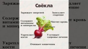 Польза свеклы