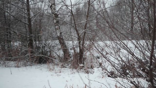 ? ВОЛШЕБСТВО Зимних пейзажей ❄️ ЗИМА - КРАСАВИЦА ⛄ Зимняя сказка | ПРИРОДА ЗИМОЙ