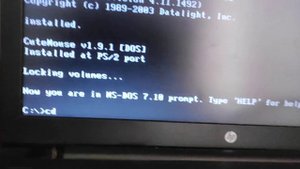 Как выглядят синий экран смерти на Windows 3.0 на самом деле? #bsod #сэс #bsod #windows30