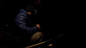 Ловля ЛЕЩА в НОЯБРЕ. Фидерная Ловля Леща на Реке. ЩУКА на ФИДЕР.