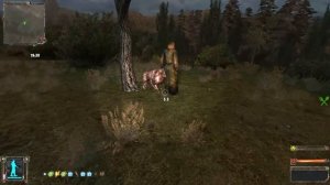 S.T.A.L.K.E.R. OGSE 0.6.9.3.(патч 2.12) #8. Парящие острова и артефакт смерти в Бандитской лощине .