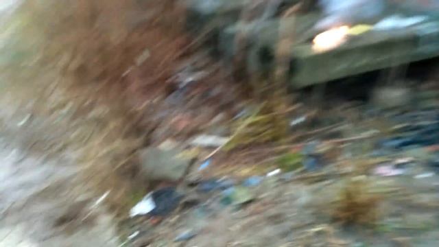 Первое января, утро. Взрываем связку петард Triangle cracker, Мышь, Огненные пчелы, К-6 смотреть онлайн