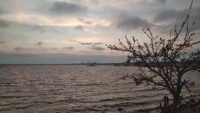 Сакское лечебное озеро,  вечер 03.05.2020