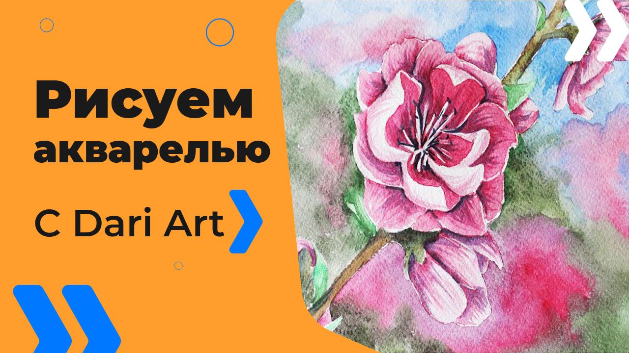 Бесплатный урок рисования! Как нарисовать цветы сакуры акварелью! Акварель для начинающих!