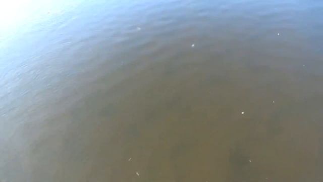 Охота на налима смотреть онлайн