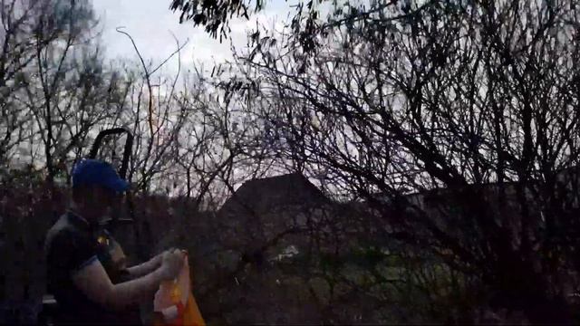 АКАЦИЯ И ДРУГИЕ МЕДОНОСЫ ДЛЯ ПЧЕЛ смотреть онлайн