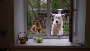 НЕВЕРОЯТНО ВКУСНО :) Малыш КУШАЕТ! 1.5 ГОДА.  Макароны с ПАРМЕЗАНОМ!