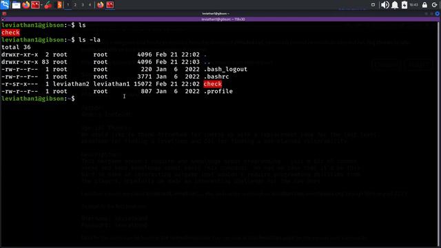 OverTheWire Leviathan. Уровни 0-2 смотреть онлайн