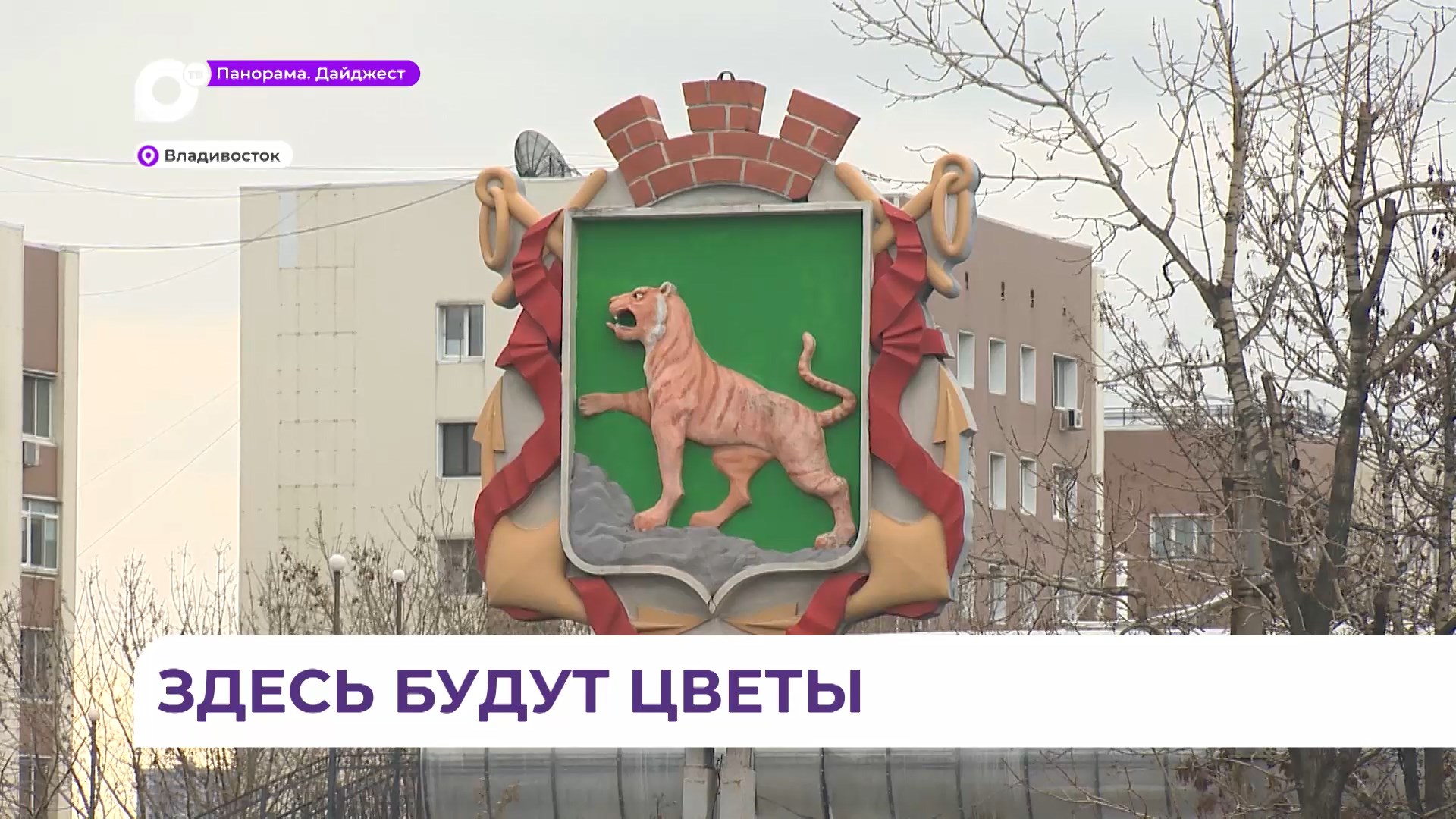 Во Владивостоке специалисты предприятия «Зелёный Владивосток» высадили более 70 тысяч тюльпанов