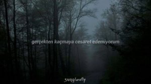 Fleurs Douces- homeless soul (Türkçe Çeviri)