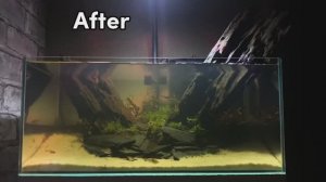 Как сделать Чистую и светлую воду в Аквариуме
