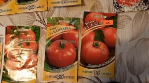 Проверенные и устойчивые к болезням томаты от компании "Гавриш"