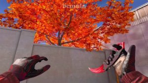 Обзор сета Karambit Claw + Gloves Neuro❤️?/ IPad mini 5 / standoff 2 / bcmln /