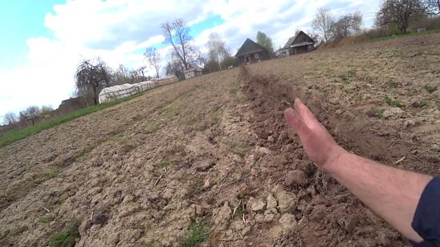 САДИМ КАРТОШКУ ПОД ПЛУГ МОТОБЛОКОМ#мотоблоки