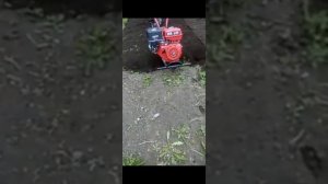 вспашка мотоблок брайт 105