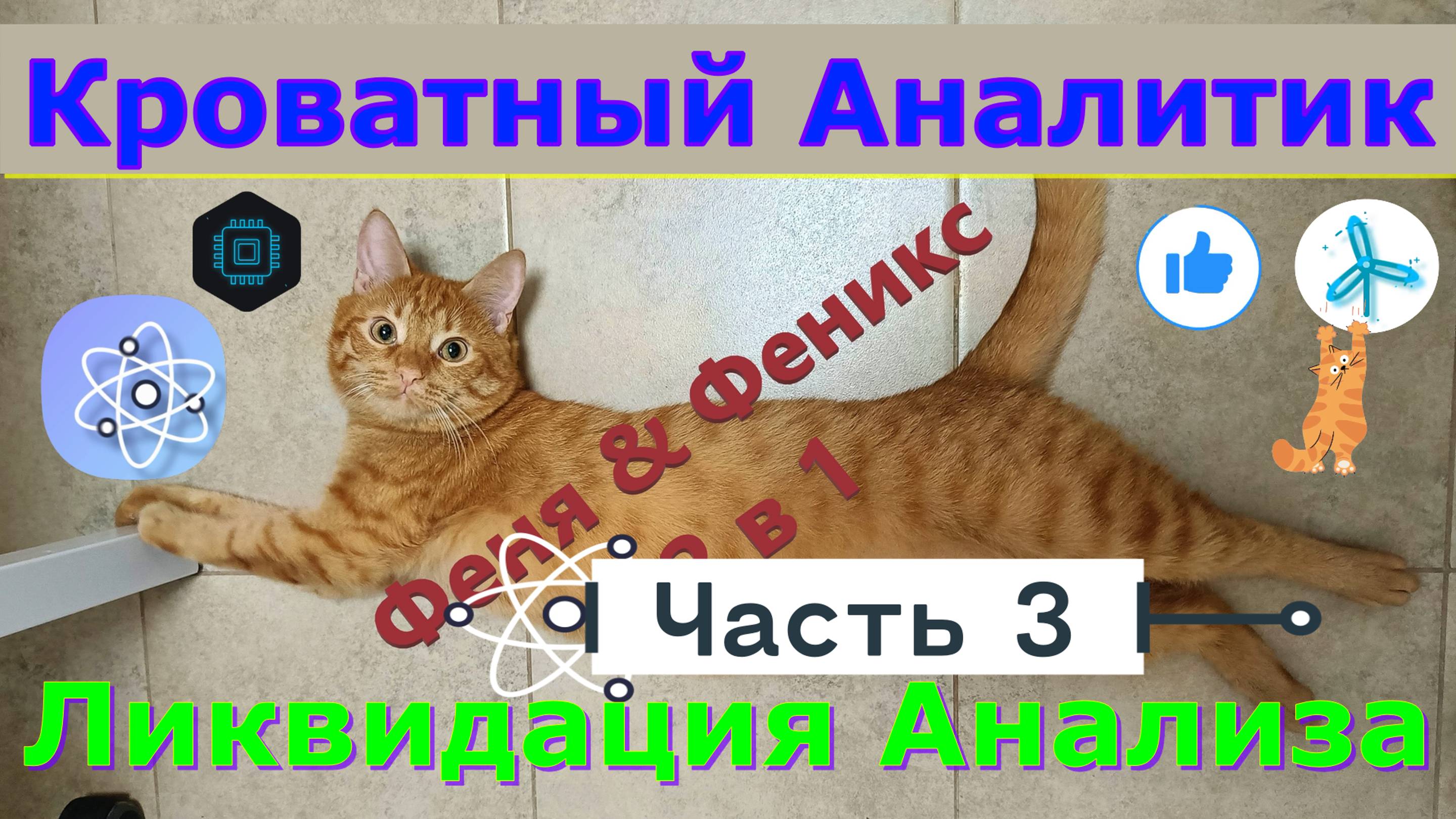 Кроватный Аналитик. Часть 3 Ликвидация Анализа. Кот Феня, он же Феникс