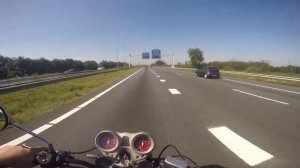 suzuki gsxr 600 k4  honda cbr f4i 600 honda x11 blackbird acceleration palenie gumy