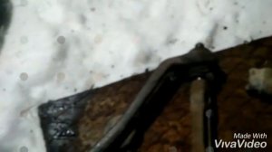 Нива Шевроле. Замена сайлентблоков верхнего рычага без пресса.