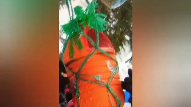 Кормушки для птиц своими руками смотреть онлайн